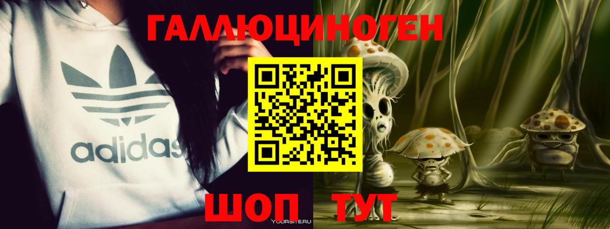 Галлюциногенные грибы прущие грибы  Галлюциногенные грибы GOLDEN TEACHER  Артём  Вход с VPN 